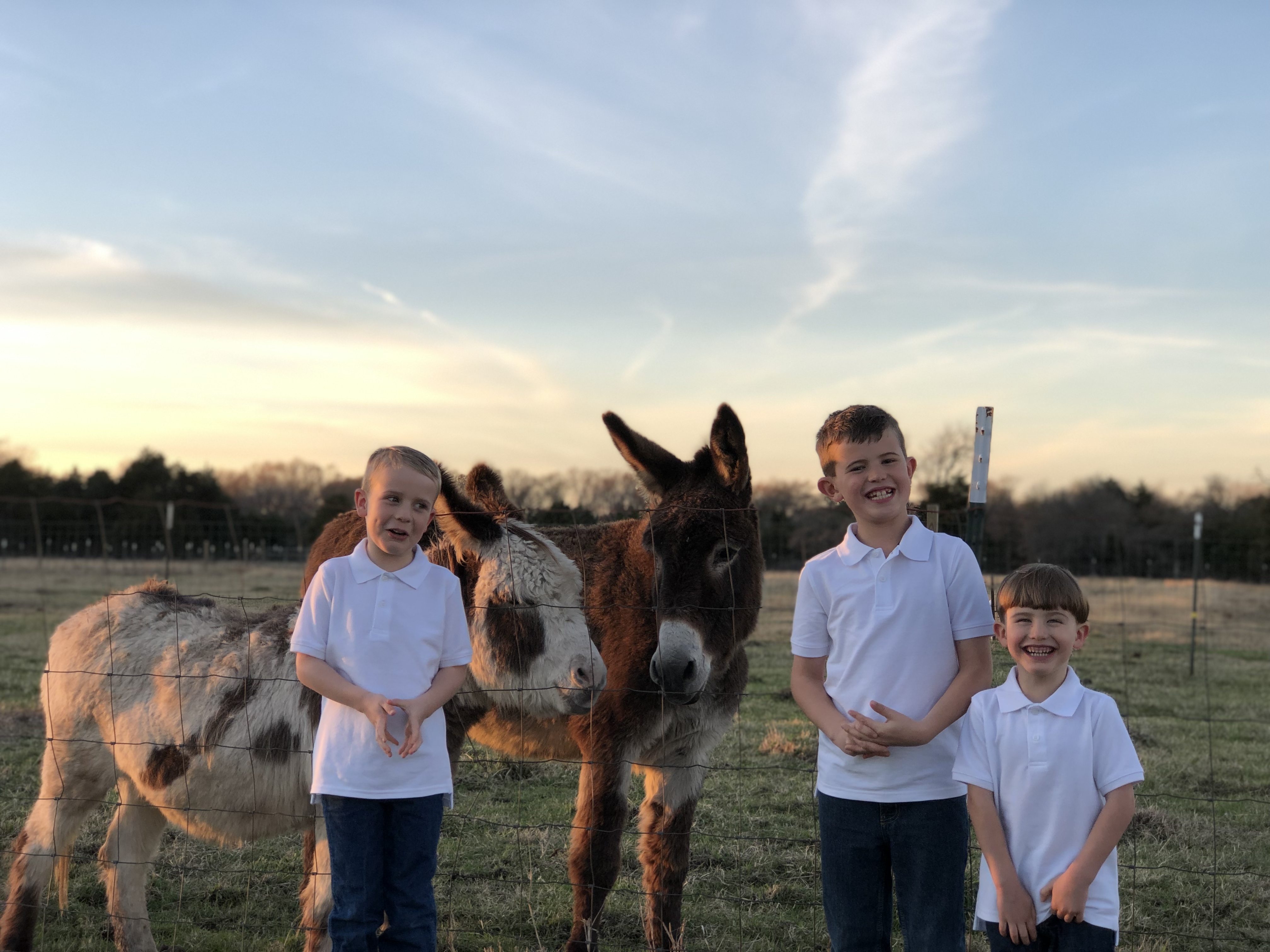The three boys with the donkey